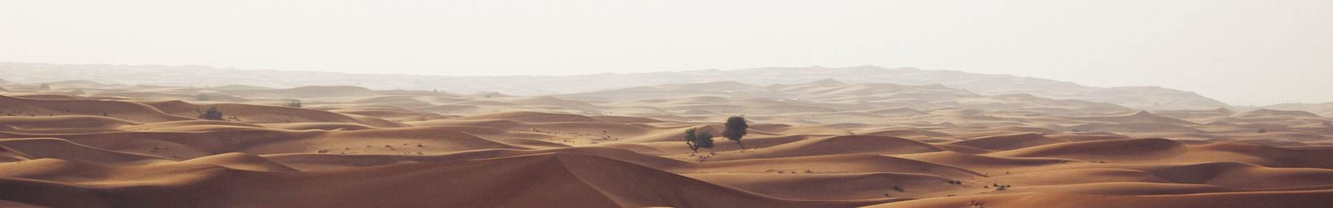 ػʵװι޹˾